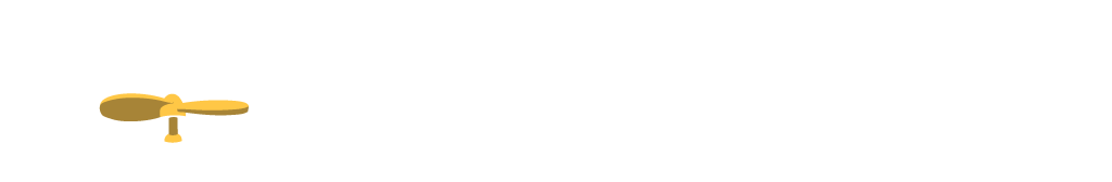 Codeacious logo 2020